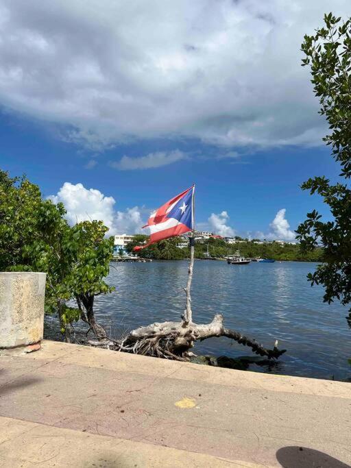 Casa Rosado Villa Marina Fajardo Yunque Seven Seas Dış mekan fotoğraf